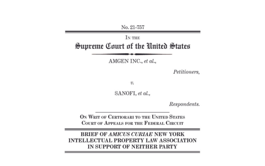 copy of brief nyipla amicus brief jan 2023