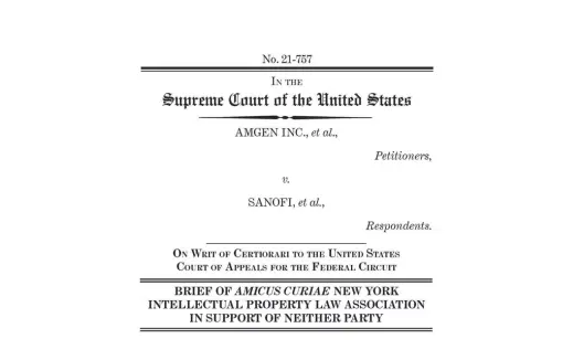 copy of brief nyipla amicus brief jan 2023
