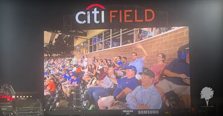 le social image litigation group summer outing mets 1200x628_v1