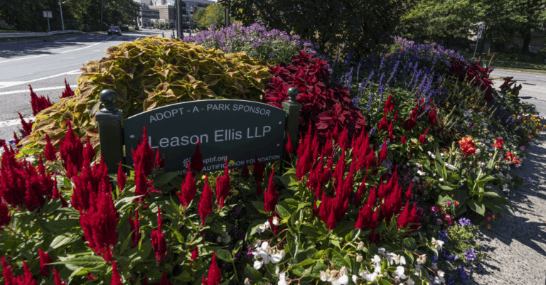 Leason-Ellis-Blooms-768x401