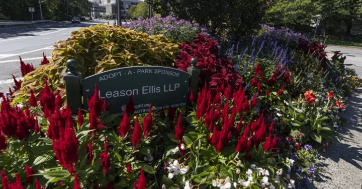 Leason-Ellis-Blooms-768x401