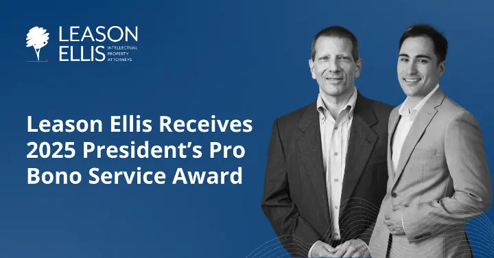 pro bono service award web image