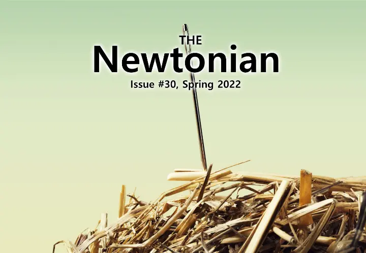 needle in a haystack