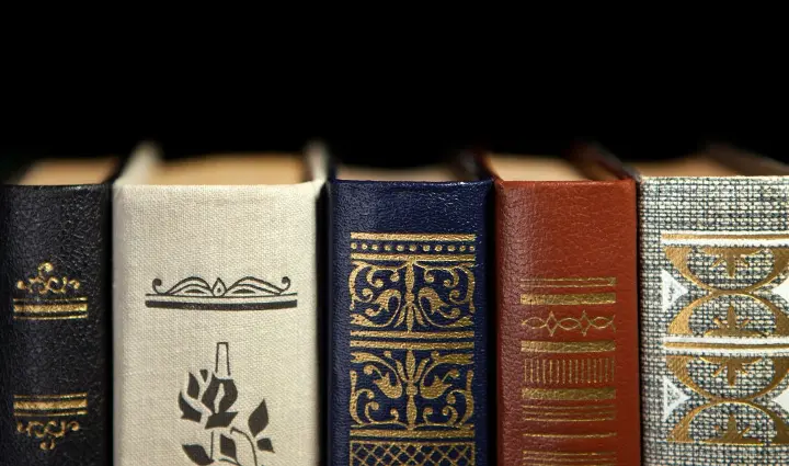 the spines of books