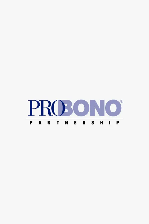 Business professionals consulting